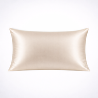 6A Mulberry Silk Pillowcase – 22mm